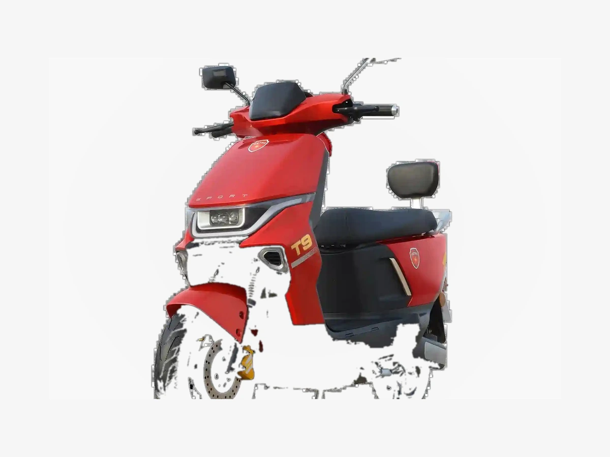 T9 Sports Electric Bike