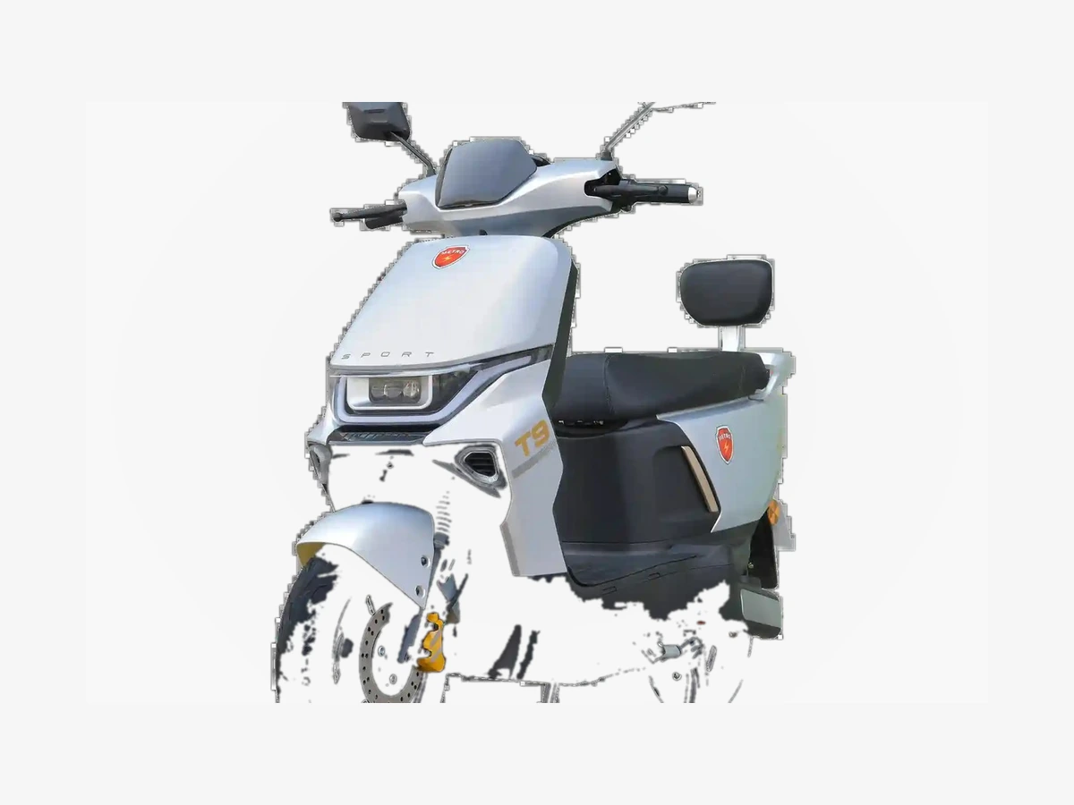 T9 Sports LFP Electric Bike